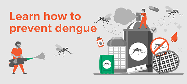 Learn how to prevent dengue 